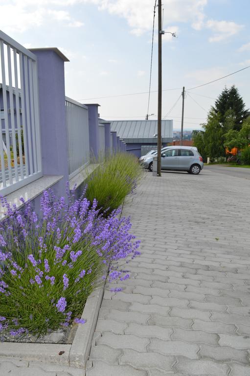 Bed and Breakfast Pansion Antonio Slavonski Brod Exterior foto