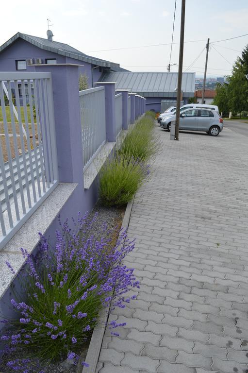 Bed and Breakfast Pansion Antonio Slavonski Brod Exterior foto